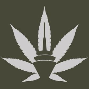 Logo des Cannabis Social Club Duesselhanf i.G.