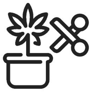 Logo des Cannabis Social Club Ludwigsburg (CSC LB)