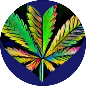 Logo des Cannabis Social Club Syke