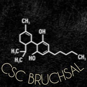 Logo des CSC Bruchsal i.G.