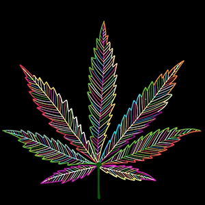 Logo des Cannabis Social Club Suhl/Zella-Mehlis
